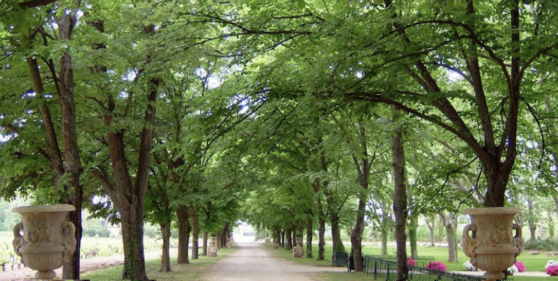 kiosque, de, jardin, en, fer, forge, maroc, marrakech